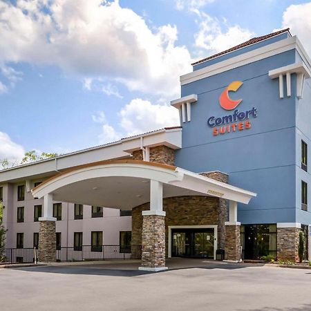 Comfort Suites At Kennesaw State University Экстерьер фото